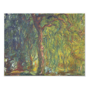 Claude Monet - Weeping Willow Fotodruck