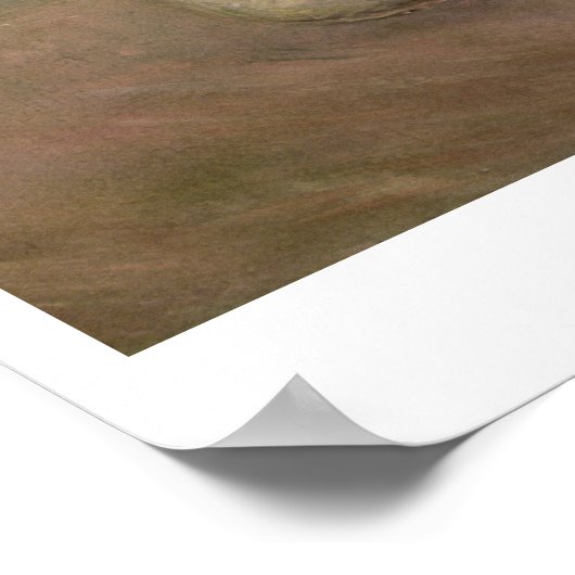 Claude Monet | Weißer Mohn, 1883 Poster (Ecke)