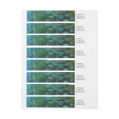 Claude Monets Nymphéas (Bogen)