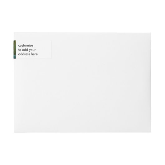 Claude Monets Nymphéas (Vorderseite)