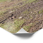 Clava Cairns-Inverness, Schottland Poster (Ecke)