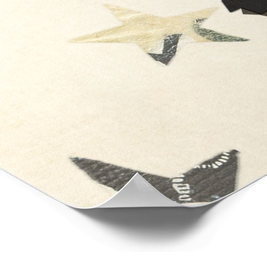 CLAWS, PAWS & FEATHERS Poster (Ecke)