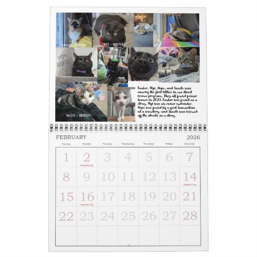 Claws & Toe Beans 12-monate Wall Calendar 2024 Kalender (Feb 2026)
