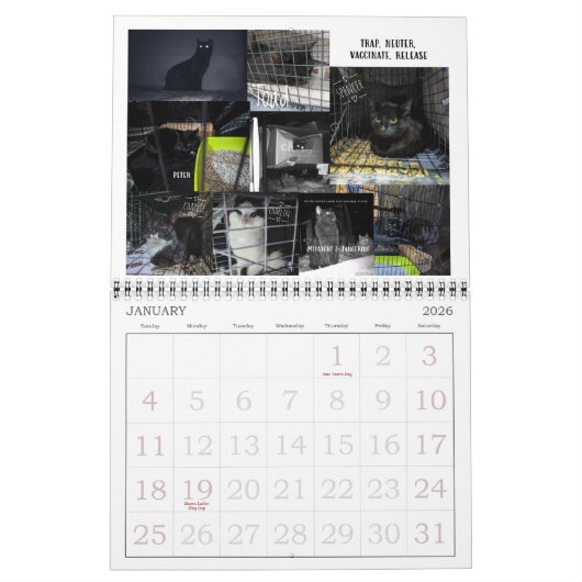 Claws & Toe Beans 12-monate Wall Calendar 2024 Kalender (Jan 2026)