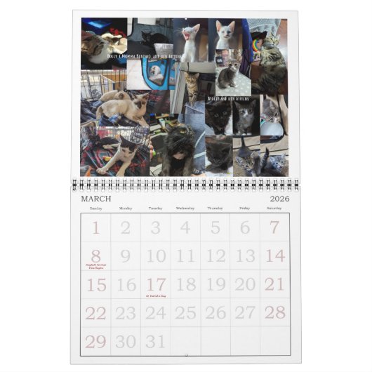Claws & Toe Beans 12-monate Wall Calendar 2024 Kalender (Mär 2026)