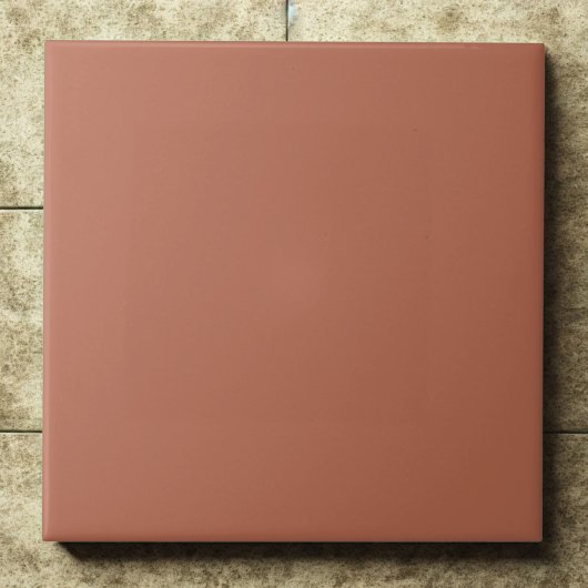 Clay #b66a50 – Warm, Mellow, Natural Orange Fliese