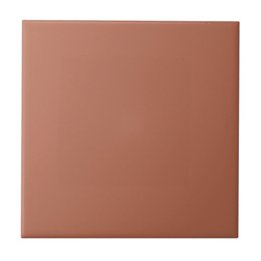 Clay #b66a50 – Warm, Mellow, Natural Orange Fliese (Vorderseite)