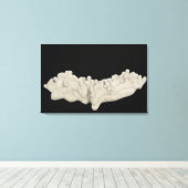 Clay Concretion Leinwanddruck (Insitu (Holzboden))