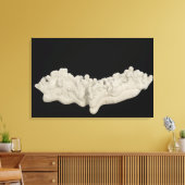 Clay Concretion Leinwanddruck (Insitu (Wohnzimmer))