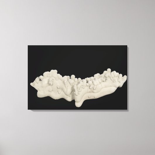 Clay Concretion Leinwanddruck (Vorderseite)