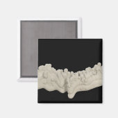 Clay Concretion Magnet (Vorderseite/Rückseite)