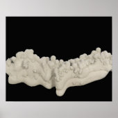 Clay Concretion Poster (Vorne)