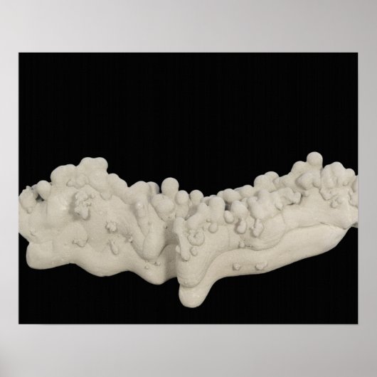 Clay Concretion Poster (Vorne)