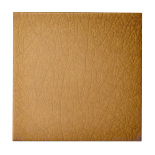 Clay-farbene antike Repro-Imitate Schnackel-Finish Fliese (Vorderseite)