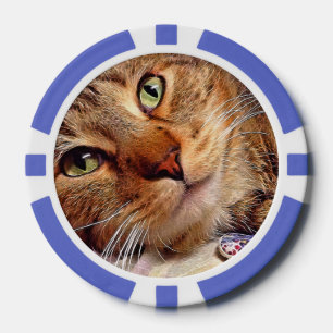 Clay Poker Chips - "Green Mit Augen Kitty" von Sna