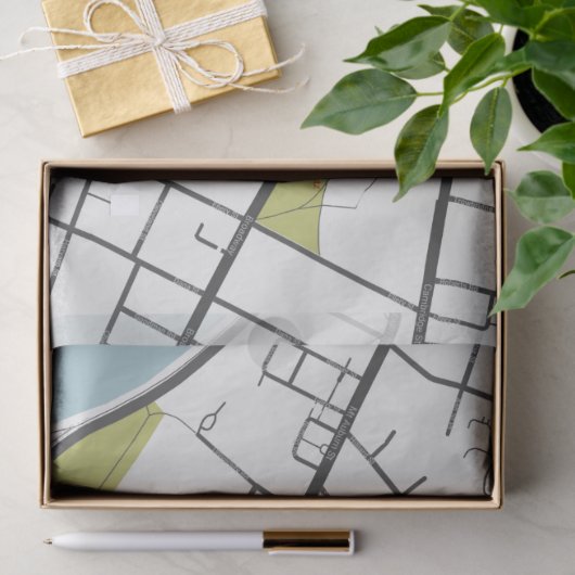 CLEAN HARVARD UNIVERSITY MASSACHUSETTS KONTUR MAP SEIDENPAPIER (Geschenk)