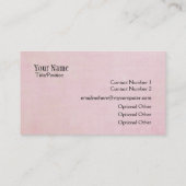 Cleaner Cleaner Service Business Visitenkarte (Rückseite)