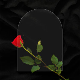 Clear 5"x7" Arch Blank Wedding Tischnummer