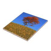 Clear Autumn Day Decoration Tile Fliese (Seite)