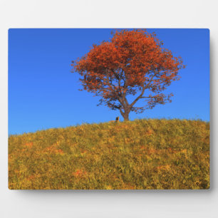 Clear Autumn Day Foto Plaque Fotoplatte