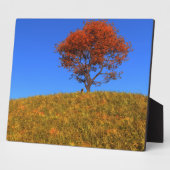 Clear Autumn Day Foto Plaque Fotoplatte (Seite)