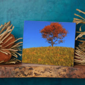 Clear Autumn Day Foto Plaque Fotoplatte (Seite)