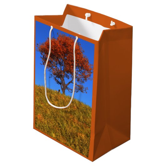 Clear Autumn Day Gift Bag Mittlere Geschenktüte (Rückseite Schrägansicht)