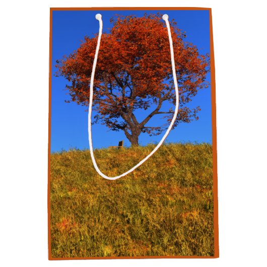 Clear Autumn Day Gift Bag Mittlere Geschenktüte (Vorderseite)