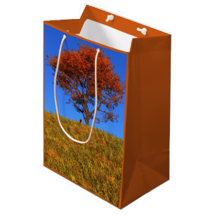 Clear Autumn Day Gift Bag Mittlere Geschenktüte