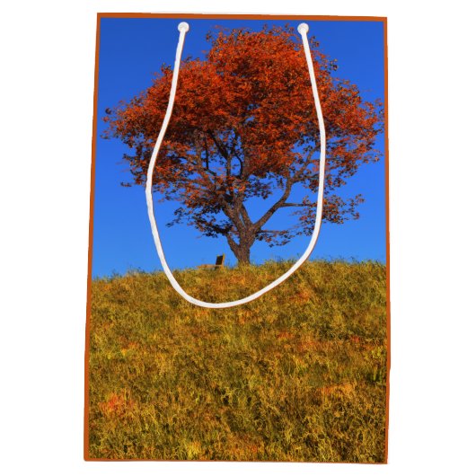 Clear Autumn Day Gift Bag Mittlere Geschenktüte (Rückseite)