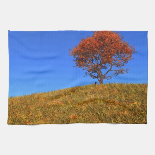 Clear Autumn Day Kittuch Handtuch (Horizontal)