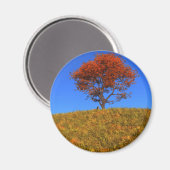 Clear Autumn Day Magnet (Vorderseite/Rückseite)