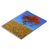 Clear Autumn Day Notizblock (Linke Seite)