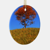 Clear Autumn Day Ornament (Rechts)