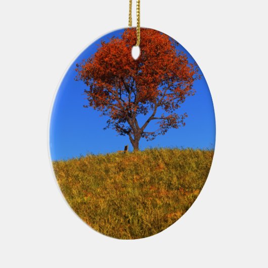 Clear Autumn Day Ornament (Rechts)