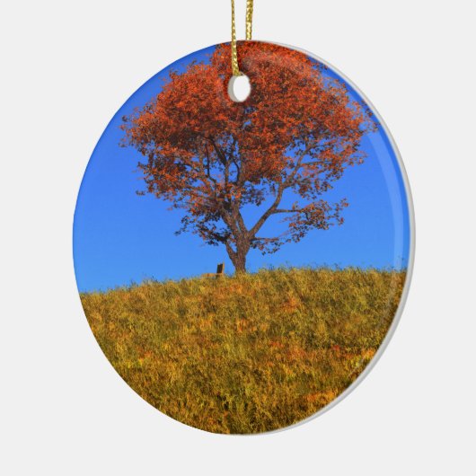 Clear Autumn Day Ornament (Links)