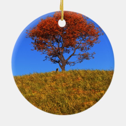 Clear Autumn Day Ornament (Hinten)
