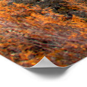 Clear Lake Oregon Autumn Poster (Ecke)