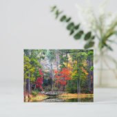 Clear Springs - Homochitto National Forest Postkarte (Stehend Vorderseite)