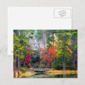 Clear Springs - Homochitto National Forest Postkarte (Vorne/Hinten)