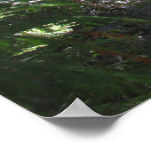 Clear Water River Print mit Scripting Verse Poster (Ecke)