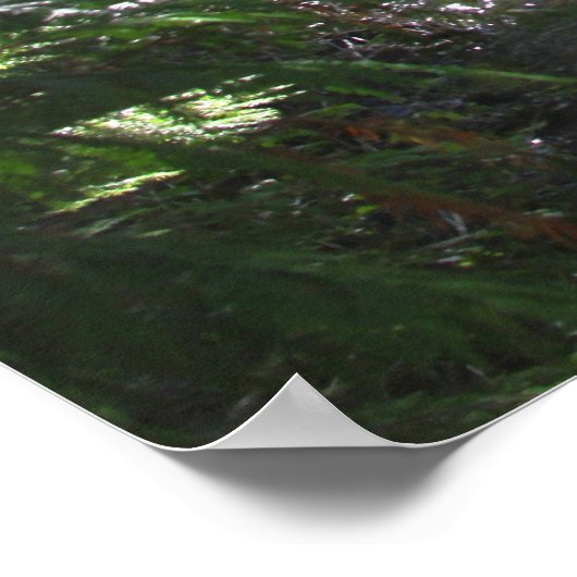 Clear Water River Print mit Scripting Verse Poster (Ecke)