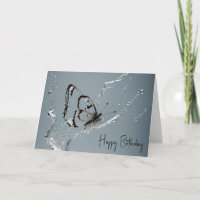 Clearance Butterfly Geburtstag