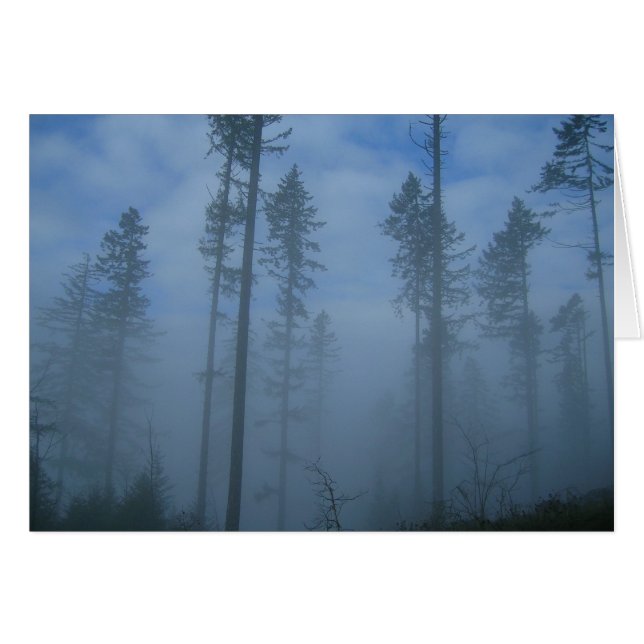 Clearing-Nebel (Vorderseite (Horizontal))
