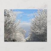 Clearing Skies & Tailwinds, NYC -  Postkarte (Vorderseite)