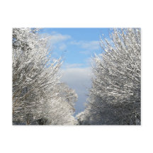 Clearing Skies & Tailwinds, NYC -