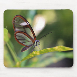 Clearingschmetterling Mousepad