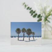 Clearwater Beach FL Postkarte (Stehend Vorderseite)