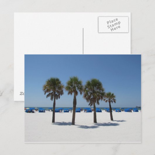 Clearwater Beach FL Postkarte (Vorne/Hinten)