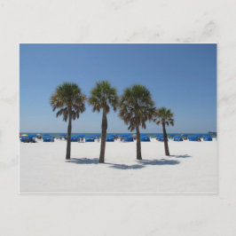Clearwater Beach FL Postkarte